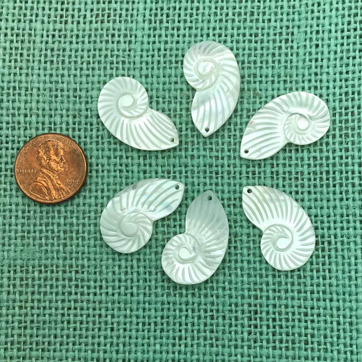 Mother of Pearl Nautilus Shell