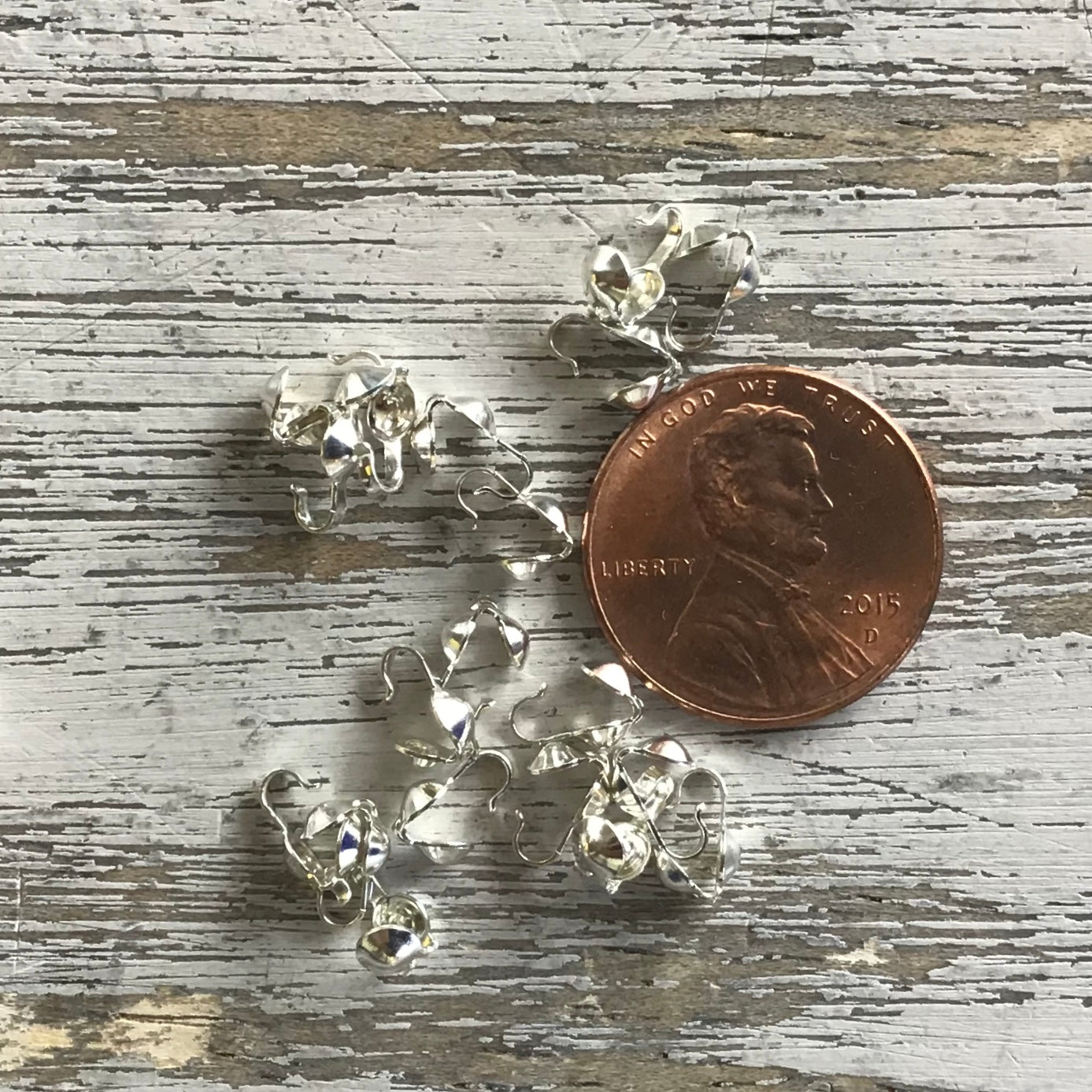 SS Clamshell 20ct