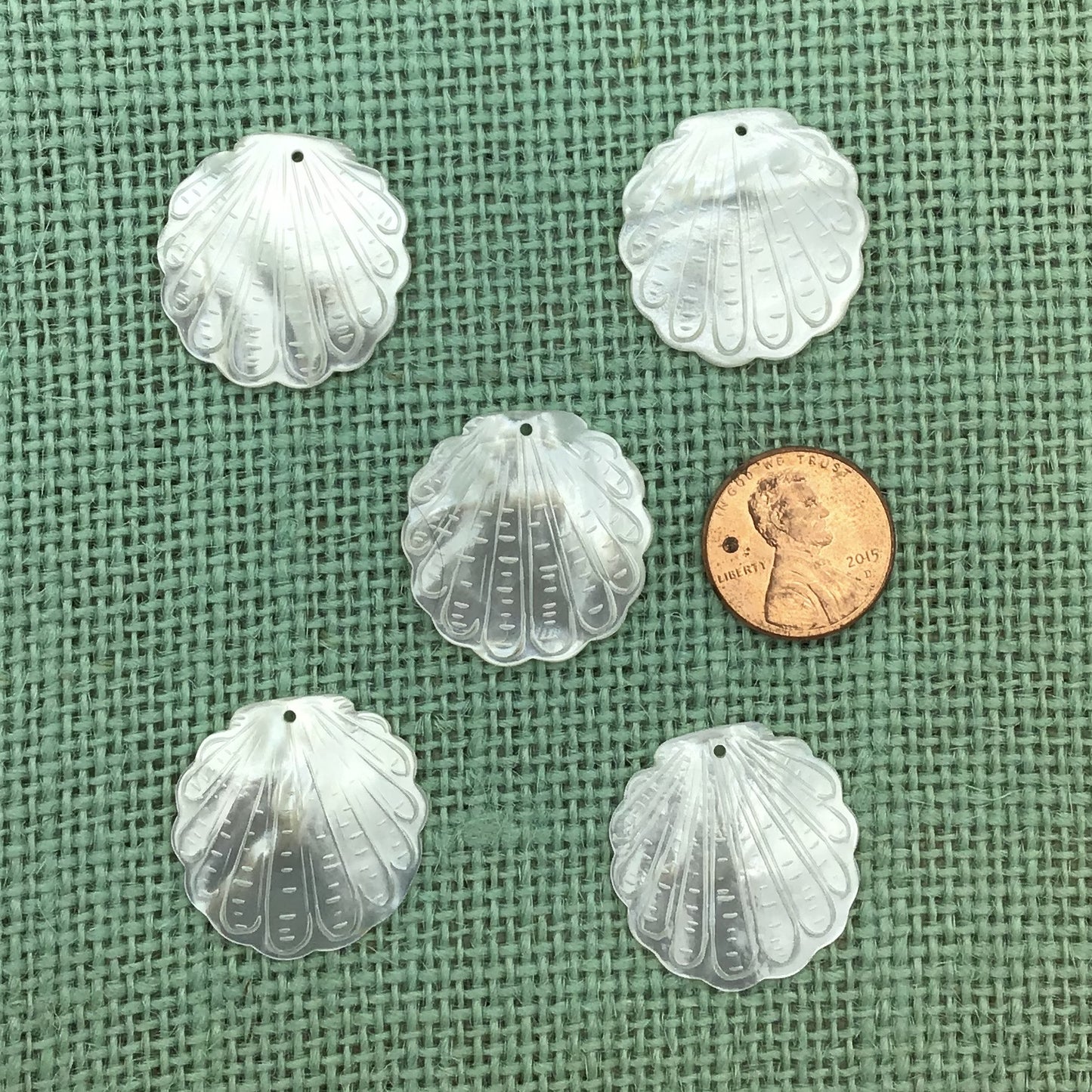 Mother of Pearl Scallop Shell