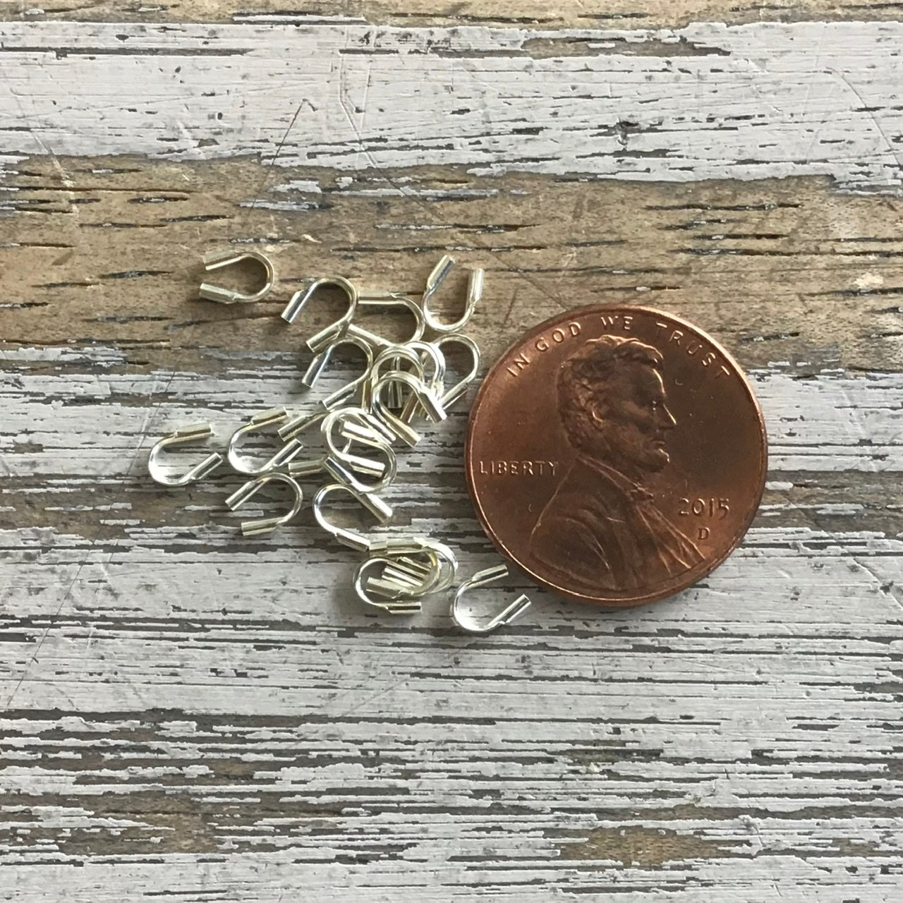 SS Wire Protector 20ct