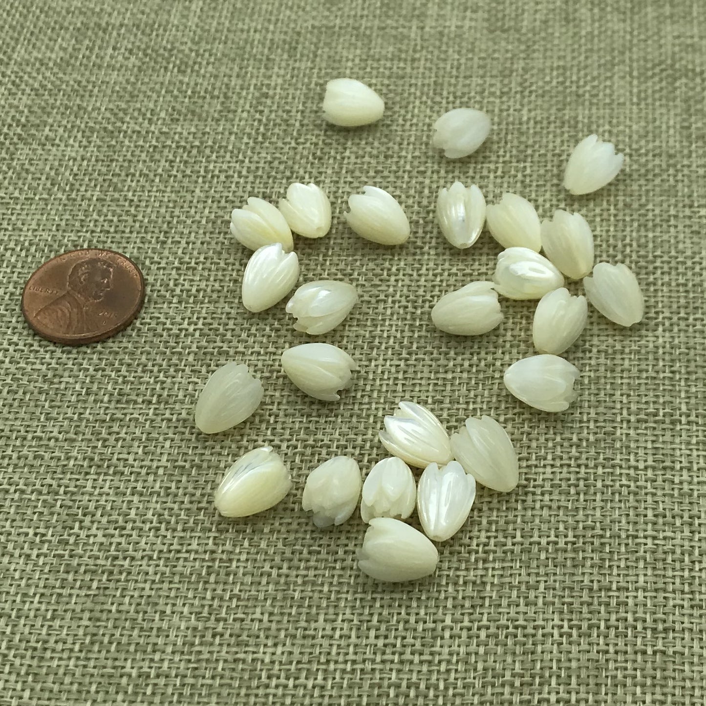 Medium Mother of Pearl Pikake White