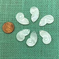 Mother of Pearl Nautilus Shell