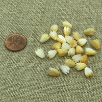 Small Mother of Pearl Pikake Bead Yellow